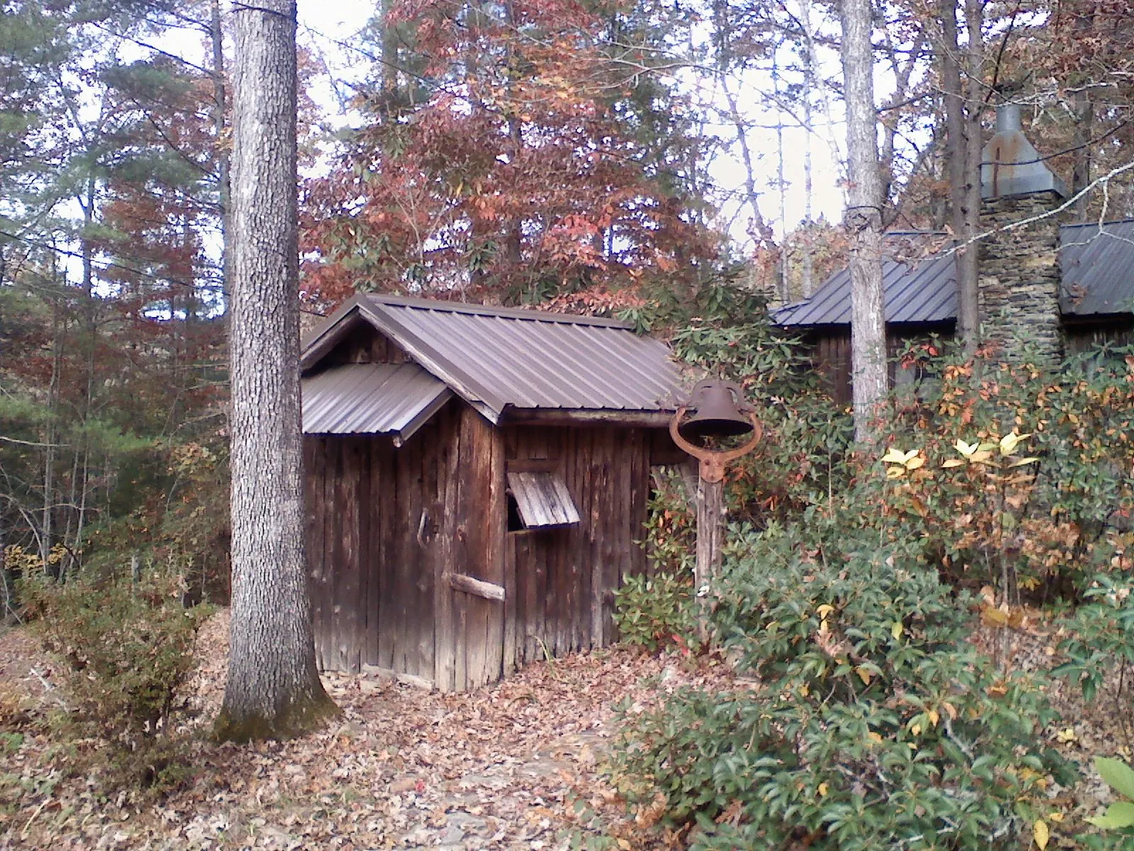 Small metal roof on a rough sawn shed in the woods in Buckland