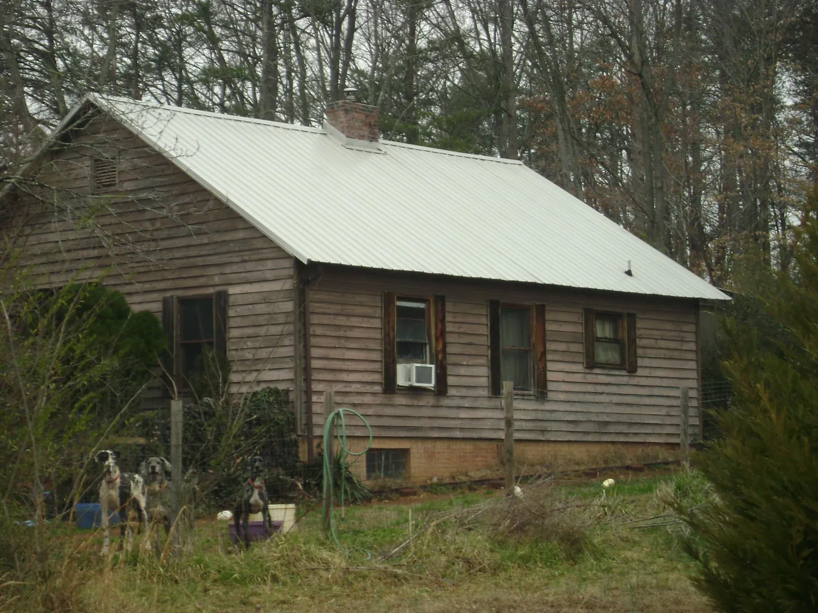 White metal roof on an old wood sided farmhouse, from a Asphalt Shingle Roof Repair job in Buckland